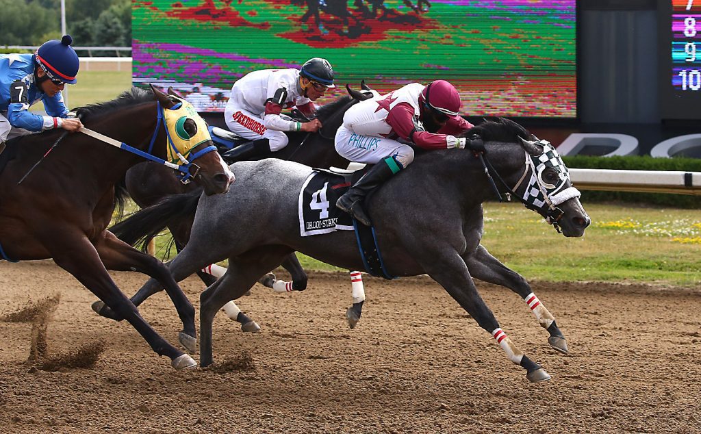 Gray racehorse and jockey in maroon silks