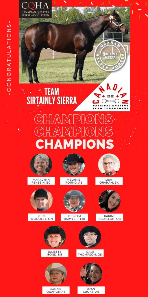 Champion bay quarter horse poster with team portraits