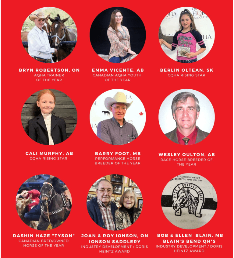 Horse industry award winners collage