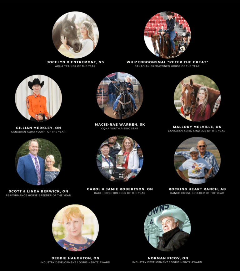 Various horse industry award recipients