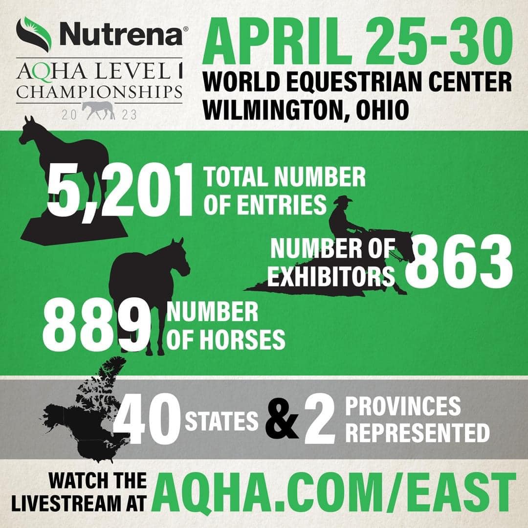 Equestrian event statistics and details