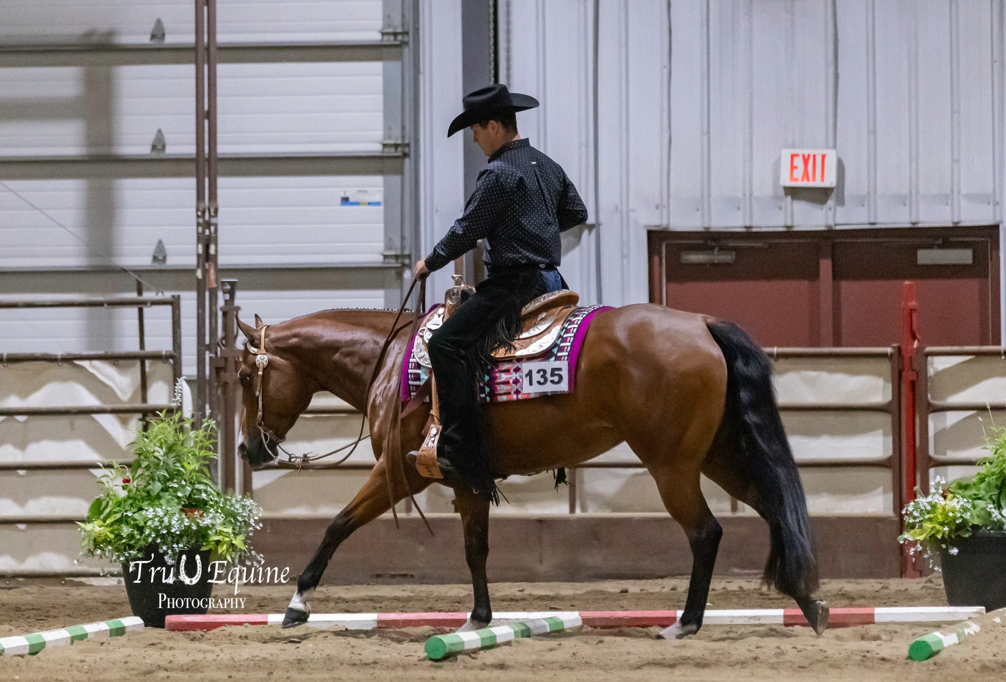 Western rider guiding horse over arena poles
