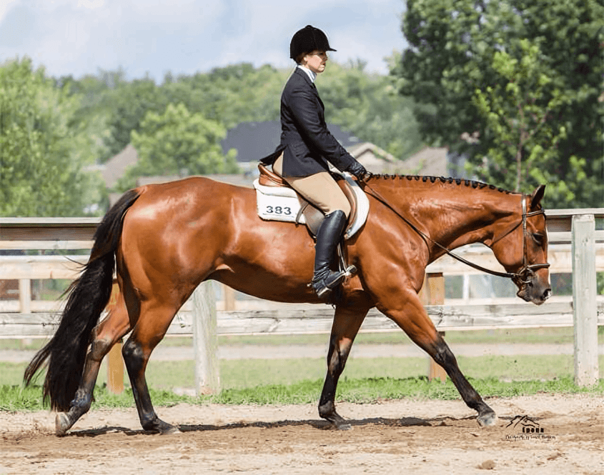 Equestrian riding a brown horse outdoors