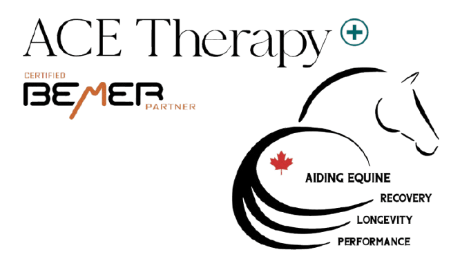 ACE Therapy WHITE