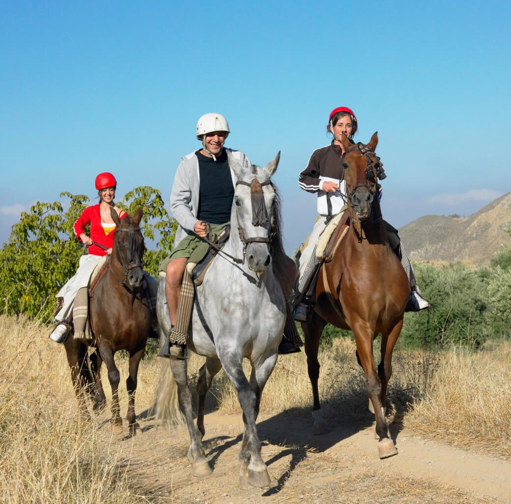 Group riding horses in sunny countryside
