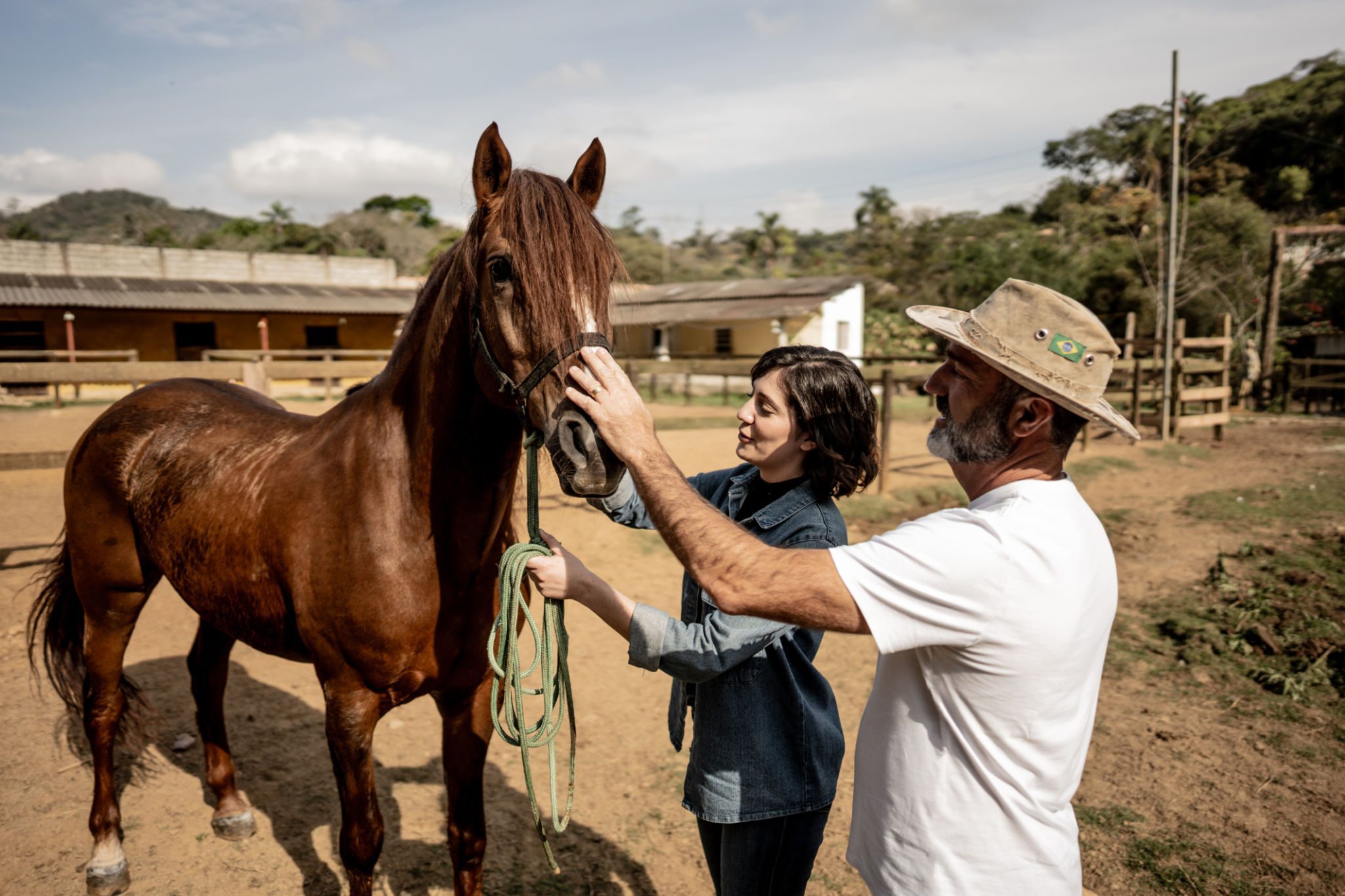 Man and woman with brown horse