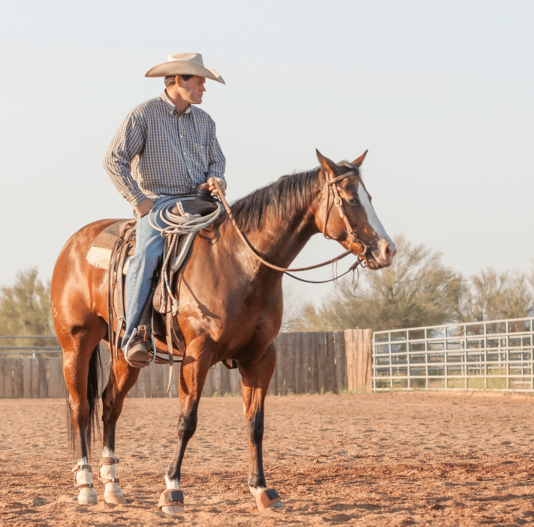Man on horseback in outdoor arena