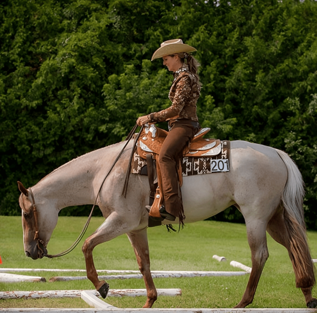 Horse and rider performing dressage outdoors