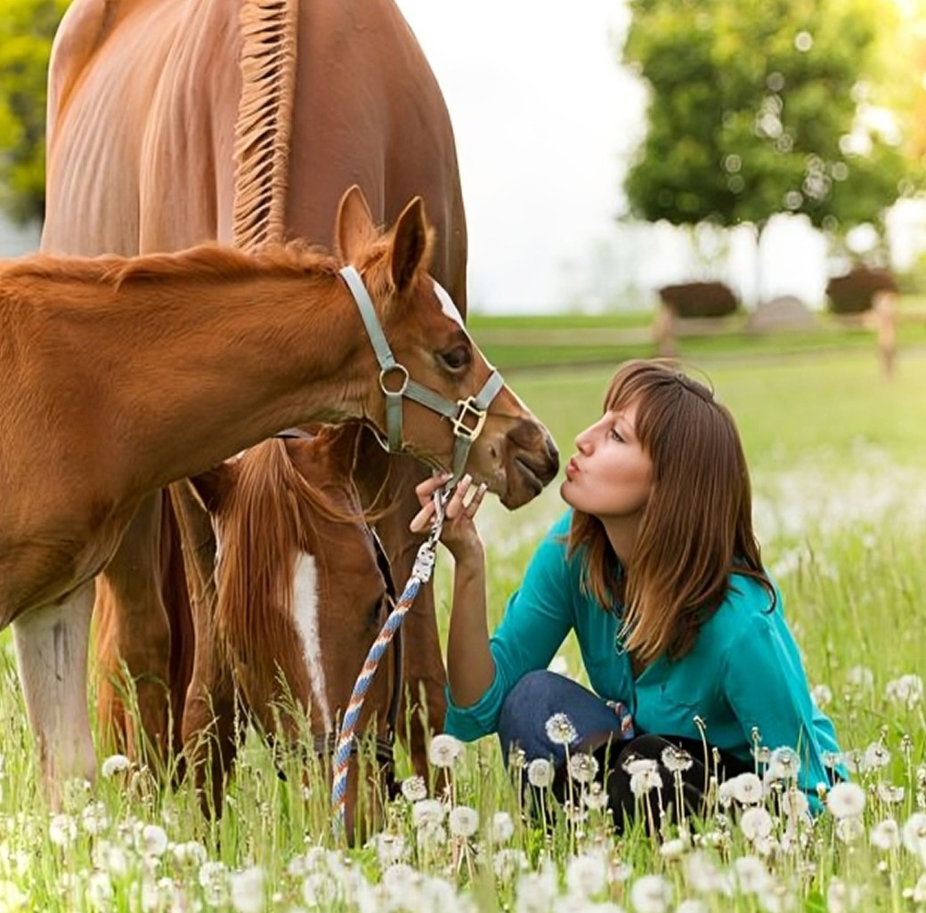 Woman kissing a foal in meadow