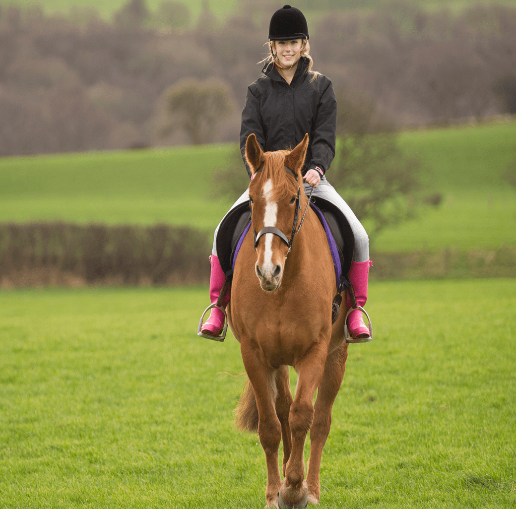 Equestrian with pink boots on brown horse