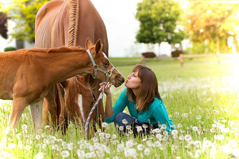 Woman interacting with young horse outdoors