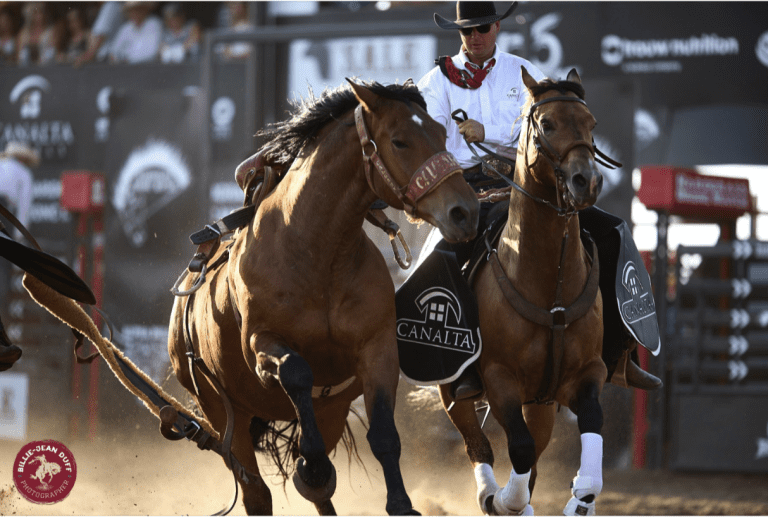 Rodeo rider controlling galloping horses