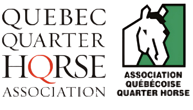 Horse silhouette and text logo