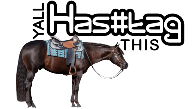 Brown saddle horse with turquoise patterned saddle blanket