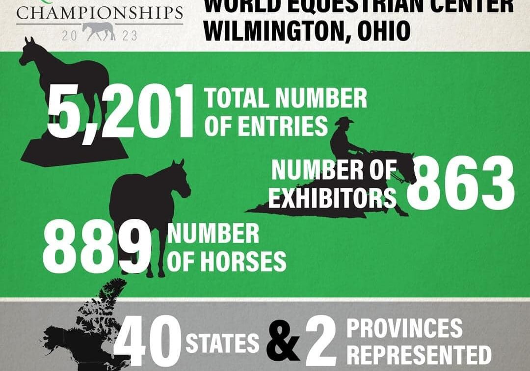 Equestrian event statistics and details