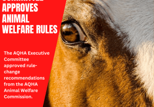 AQHA committee endorses animal welfare changes.