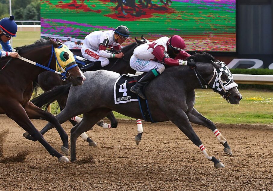 Gray racehorse and jockey in maroon silks