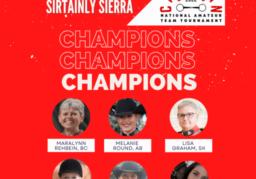 Champion bay quarter horse poster with team portraits