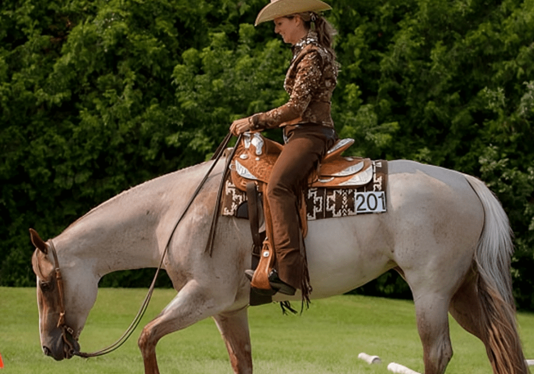 Horse and rider performing dressage outdoors