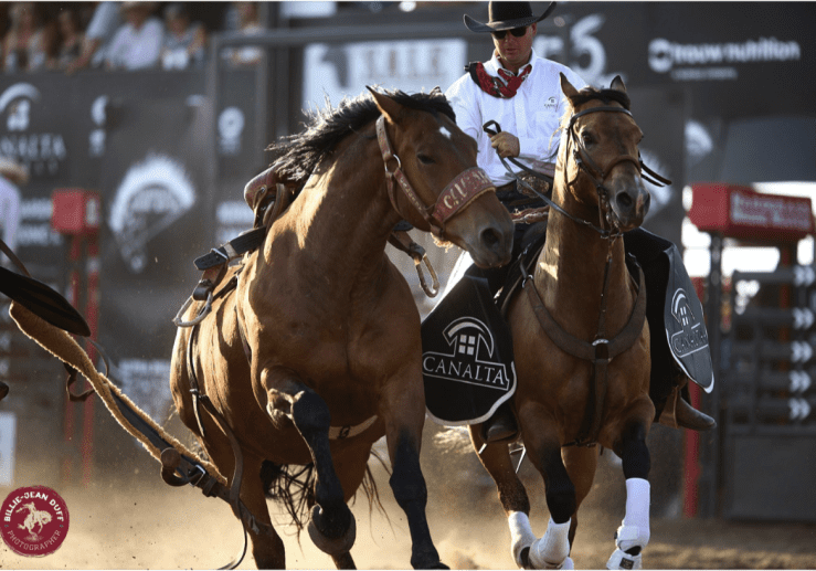 Rodeo rider controlling galloping horses